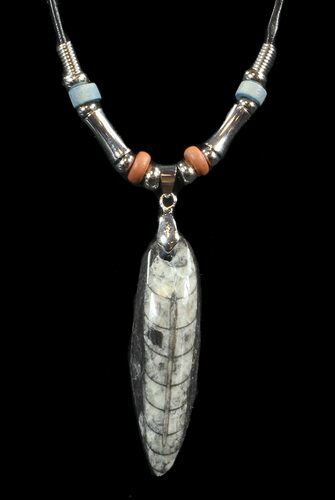 Fossil Orthoceras (Devonian Cephalopod) Necklace #43118